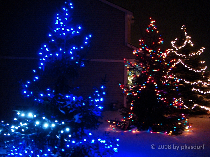 023 A2 Snowfall & Trees [2008 Dec 20].JPG - Our Christmas Trees for 2008.
